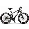 Image 1 : Long Range Fat Tire Electric Bike Cruiser