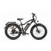 Image 1 : Dual Battery Off-road Electric Bike Rhino