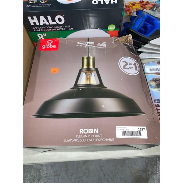 Globe Robin Plug In Pendant Light