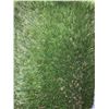 Image 3 : Golden Select Artificial Grass Barley 43.07 Sq Ft  (3.74ft x 11.52 Ft)