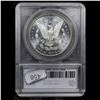 Image 5 : ***Auction Highlight*** 1879-p Morgan Dollar Near TOP POP! $1 Graded ms65+ DMPL By SEGS (fc)