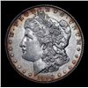 Image 2 : ***Auction Highlight*** 1896-o Morgan Dollar $1 Graded Select Unc By USCG (fc)