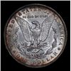 Image 3 : ***Auction Highlight*** 1896-o Morgan Dollar $1 Graded Select Unc By USCG (fc)