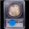 Image 5 : ***Auction Highlight*** 1902-p Morgan Dollar TOP POP! $1 Graded ms67+ By SEGS (fc)
