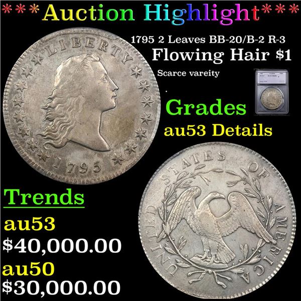 ***Auction Highlight*** 1795 2 Leaves Flowing Hair Dollar $1 BB-20/B-2 R-3 Graded au53 Details By SE