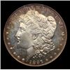Image 2 : ***Auction Highlight*** 1897-p Morgan Dollar TOP POP! $1 Graded ms66 DMPL By SEGS (fc)