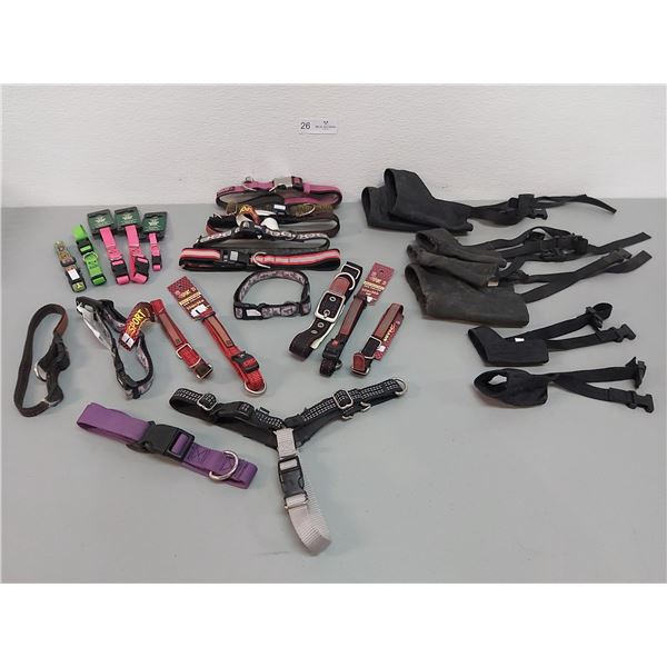 Dog Collars & Muzzles - Various Sizes