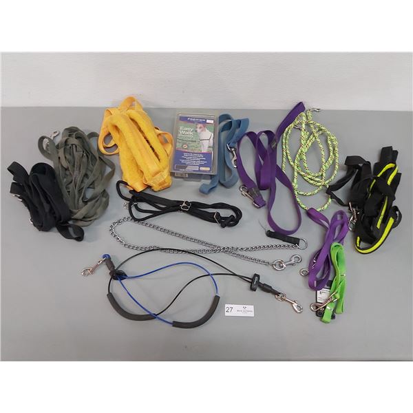 16 Dog Leashes - Various Sizes and Lengths