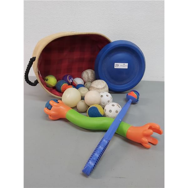 12 Balls, 2 Throwers and Fabric Basket