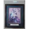 Image 2 : 5 Framed Dog Pictures - Various Sizes