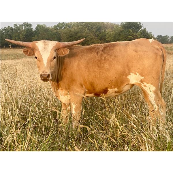 +F Lightning Yellow Hair