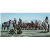 Image 1 : Roy Kerswill-Yellowstone