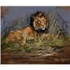 Image 1 : Gary Swanson-Lion