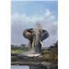 Image 1 : Michael Coleman-Bull Elephant