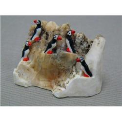 Ivory puffin rookery