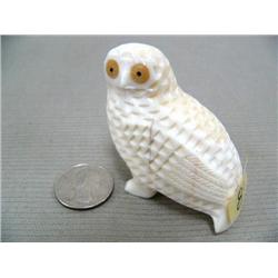Ivory owls