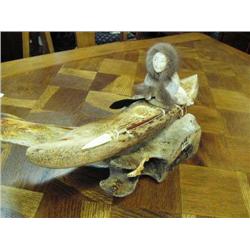 Kayaker by Michael Scott