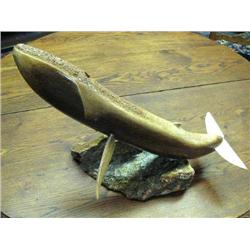 Whalebone Whale by Michael Scott