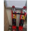 Image 3 : PAIR OF TOWBOAT WATER SKIS