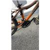 Image 2 : BROWN OPUS BIKE