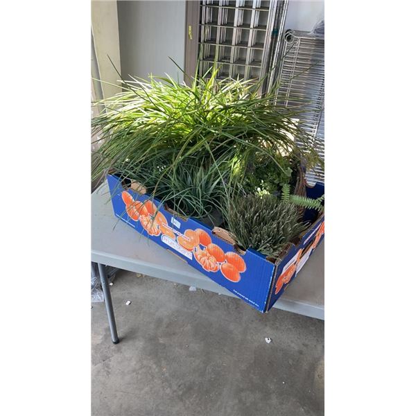 FLAT OF ARTIFICIAL PLANTS