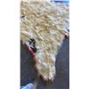 Image 3 : ALBINO BEAR SKIN RUG