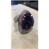 Image 2 : AMETHYST GEODE - RETAIL $1200