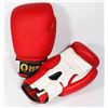 12-OZ SPORT ONE BOXING GLOVES