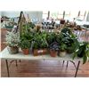 Image 1 : ASSORTED FAUX PLANTS, PLANTER POTS & BASKETS (TABLE NOT INCLUDED)