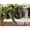 Image 3 : ASSORTED FAUX PLANTS, PLANTER POTS & BASKETS (TABLE NOT INCLUDED)