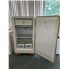 Image 2 : FRIGIDAIRE VINTAGE FRIDGE