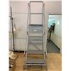 Image 1 : MOBILE 6-STEP METAL LADDER