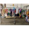 Image 1 : *L2* 2 RACKS OF ASSORTED FAIRY & BUTTERFLY WINGS (RACK NOT INCLUDED)