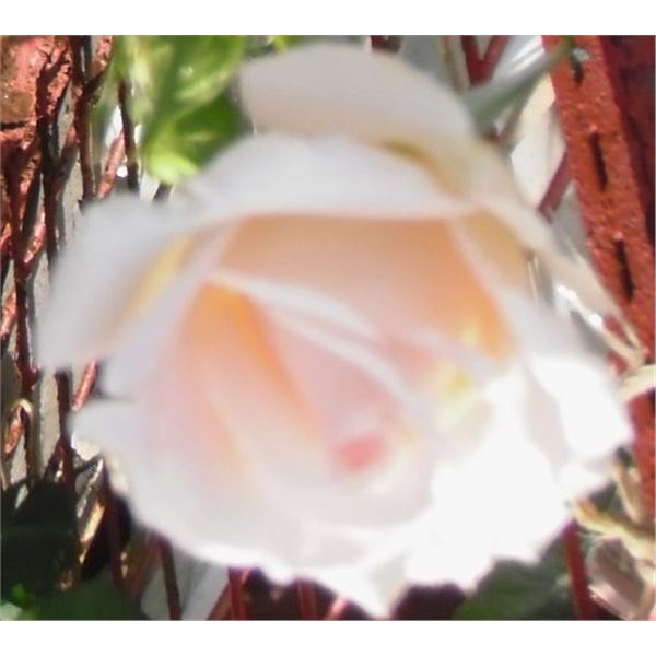 LangdonArt photo variation