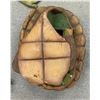 Image 10 : 1993 "Teenage Mutant Ninja Turtles III" - Screen-worn Leonardo costume w/ Donatello pants - includes