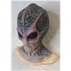 Image 2 : "Resident Alien" - Hero Alien Harry display head w/ pair of costume Alien hands