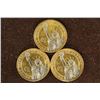 Image 2 : 3-PRESIDENTIAL DOLLARS WITH SILVER ACCENTS: