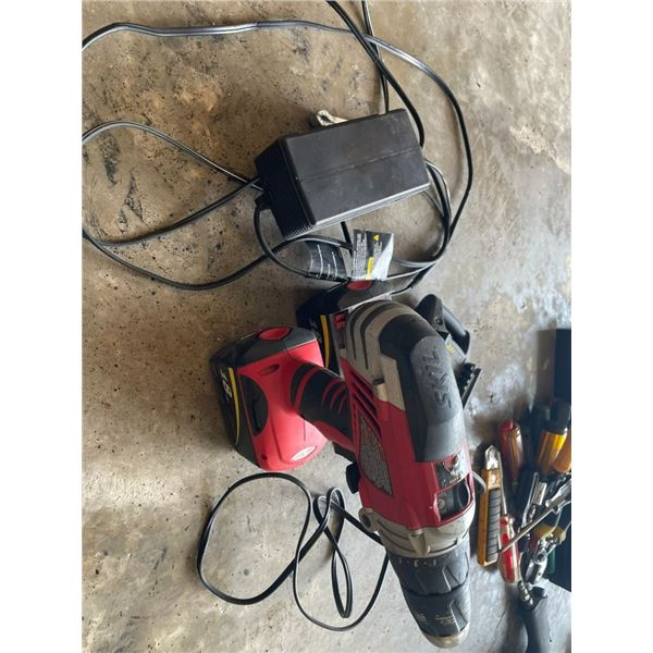 Trickle charger/Skil 18V drill