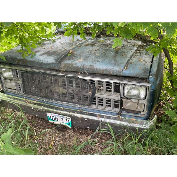 1985 Chev Custom Deluxe truck