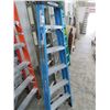 Image 1 : Werner 6' FG Stepladder