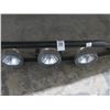 Image 2 : Truck Brush Bar w/Fog Lights