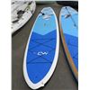 Image 1 : Michael Dolsey White/Blue 13' Sup