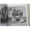 Image 5 : HARNESTED TO OUR HEARTS BOOK  (NEW)  - HORSES,  HARNESS AND HOMESTEADS