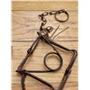 Image 2 : Blake & Lamb traps #2