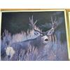 Image 2 : Group of framed Deer photos plus Moose sketch.