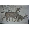 Image 2 : Deer print 21.5 X 17.5"