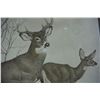 Image 3 : Deer print 21.5 X 17.5"