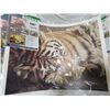 Image 4 : Three original animal prints, cubs, tiger,elephant
