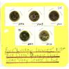 Image 1 : 5 "Lucky Loonies" Canadian 1 dollar coins - 2006, 2008, 2010, 2014, 2016