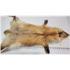 Image 2 : Real Red fox fur pelt - no tail